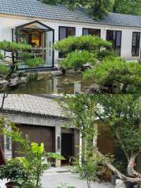 濟南帶爸媽住過三次的寶藏小院！