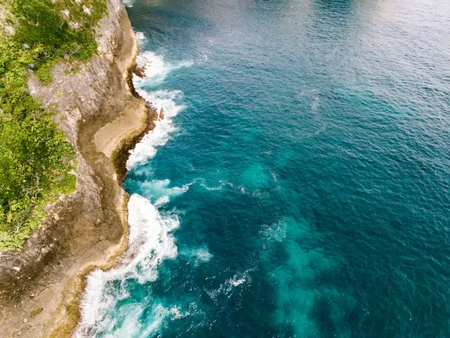 看一眼就沉淪！藍夢島惡魔的眼淚。