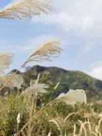 重慶版武功山萬盛獅子槽。