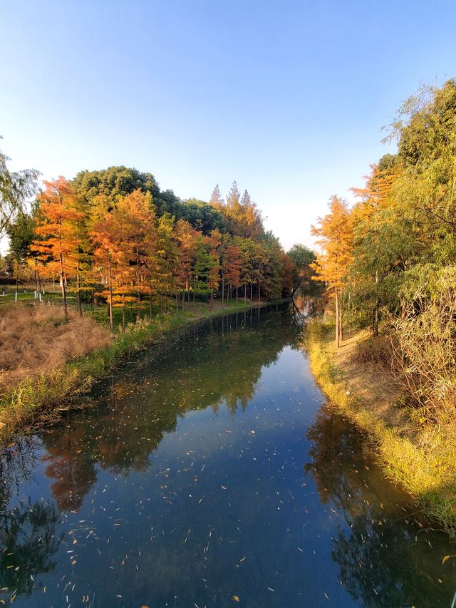 閔行文化公園。