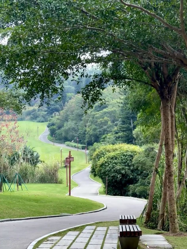 自帶電影感的公園～。