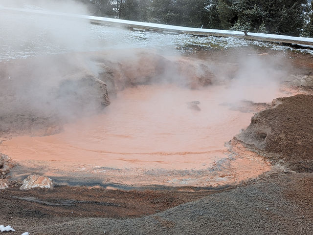 Where to Go for Christmas: A Unique Experience at Yellowstone