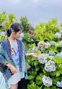 白族王宮——大理張家花園！