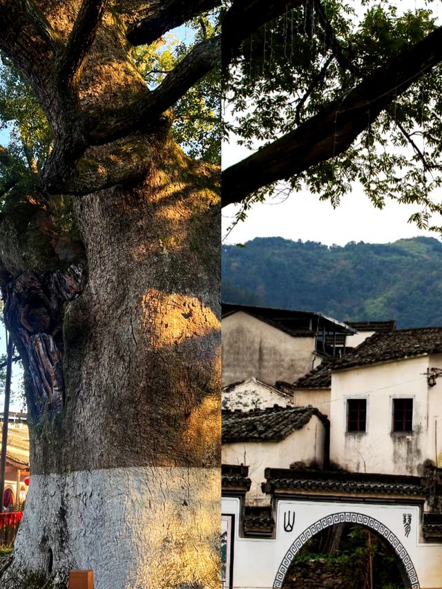 新安江山水畫廊