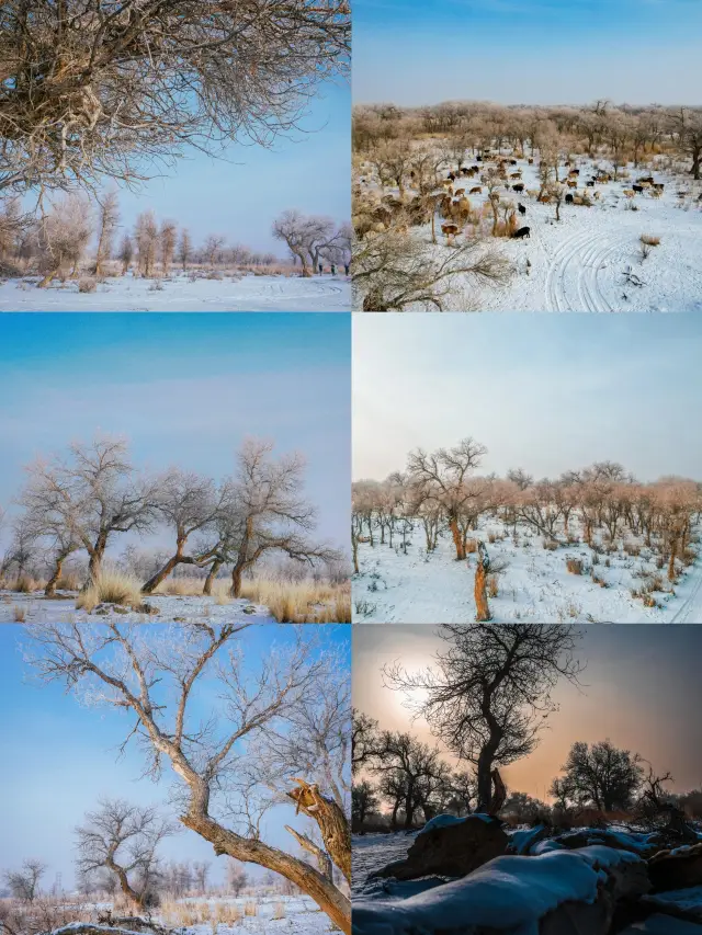 酒泉旅行ガイド