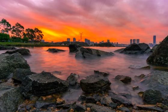 《廈門趕海風景：驚喜不斷》