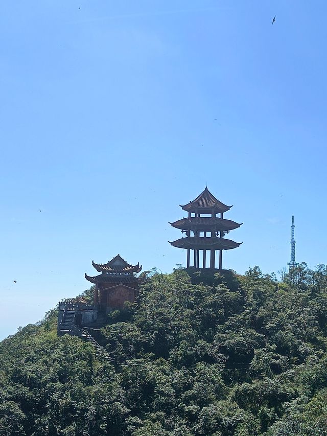登高望遠大明山