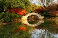 又是一年楓葉紅~~花開海上生態園