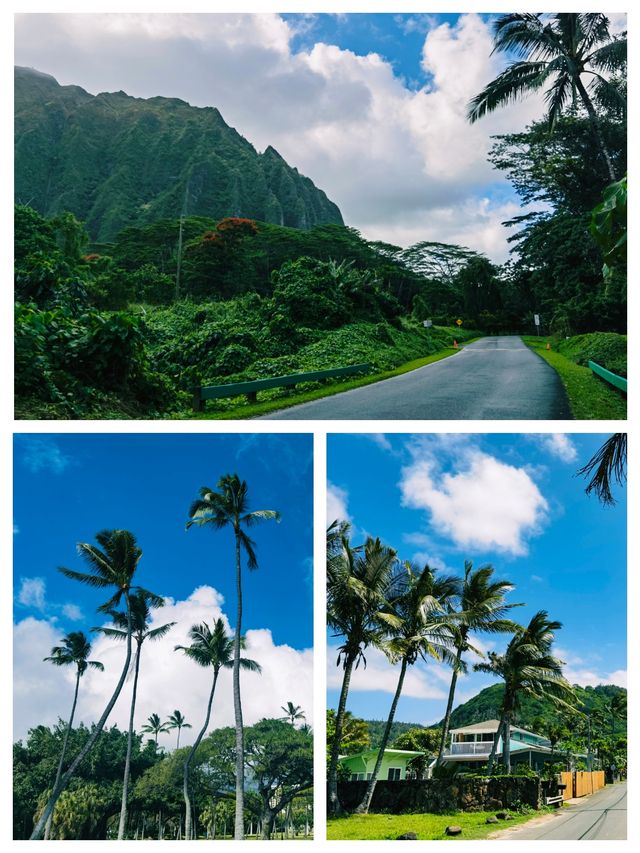可愛島，太平洋上風景如畫的美島