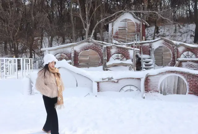 Shenyang|A Winter Wonderland