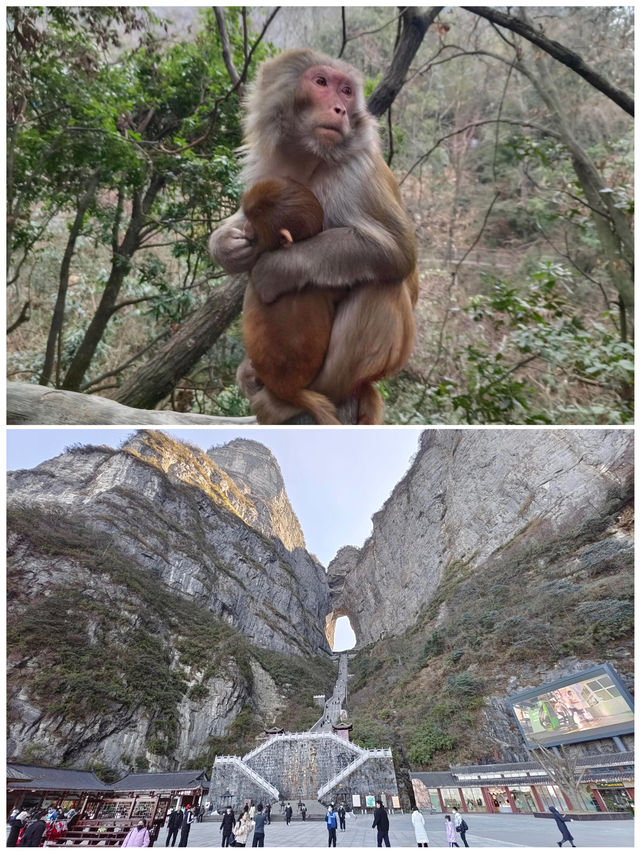 張家界之旅已完成，真的不建議 1 月份前往