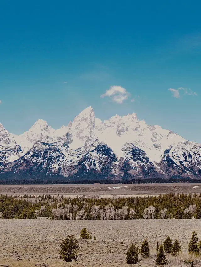 5-Day US Trip: Experience Real Hot Springs and Heal Your Body and Mind