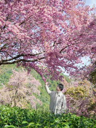 How is winter in Dali the same as spring? 
