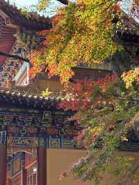 江西南昌-廬山-婺源7日遊 玩轉三地不重樣