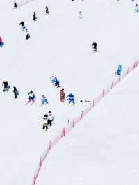 藏不住了！去了趟浙江，發朋友圈被問瘋了！