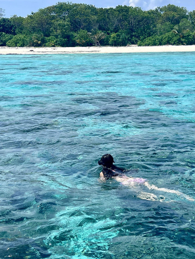 佩尼達島浮潛 | 是好多魚圍繞在身邊