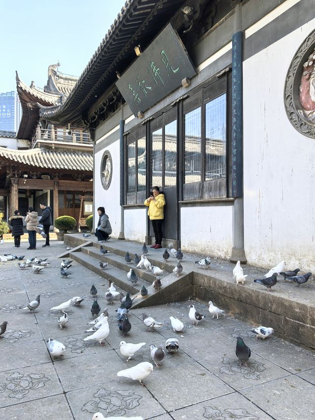 真如寺祈福看元代寺廟文化