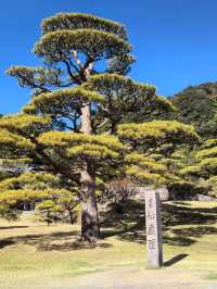 日本5日遊，溫泉之旅格外愜意