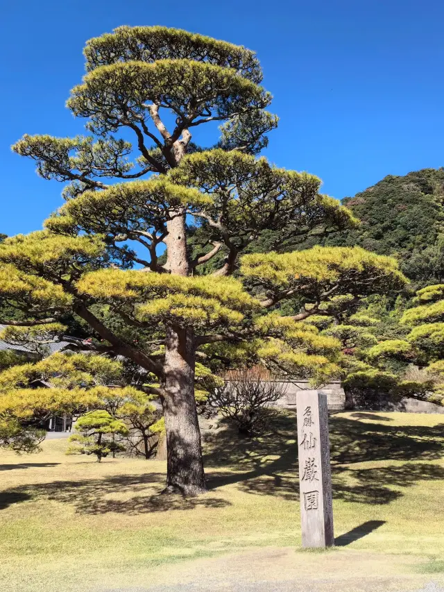 일본 5일 여행, 온천 여행이 특별히 편안합니다