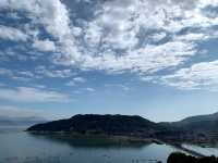 山海紅樹林