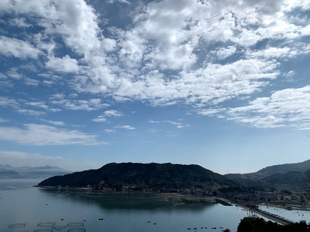 山海紅樹林