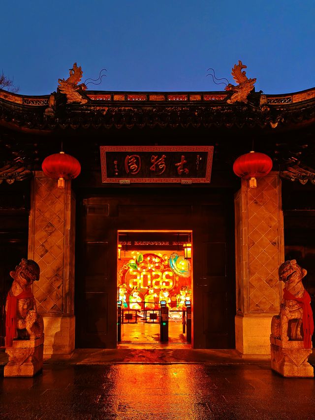 2.14實拍︳白梅居然在夜晚的燈光下好看