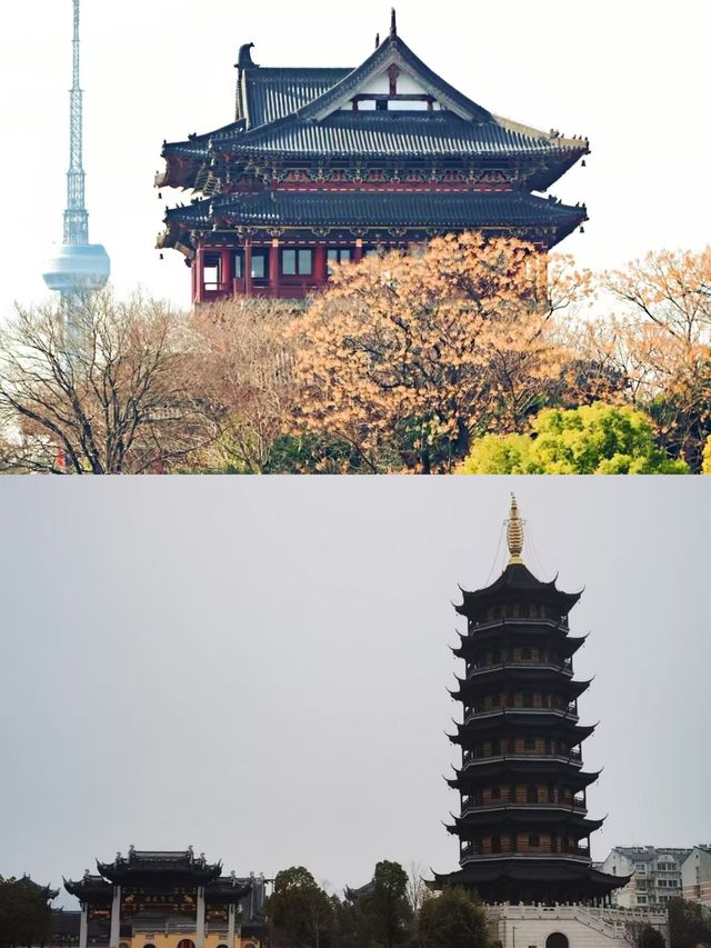 泰州已回，我的消費觀崩塌了。