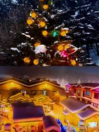 哈爾濱冰雪大世界，開啟冰雪奇幻之旅！