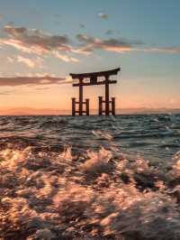 日本賞櫻小眾地推薦：琵琶湖