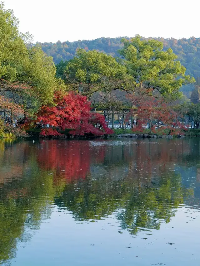 5-Day Citywalk in Shanghai, Suzhou, and Hangzhou: No Repetition, Super Practical!