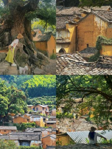 假期反向旅遊松陽治好咗我嘅精神內耗