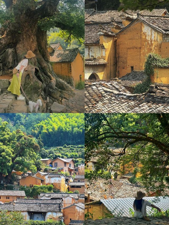 假期反向旅遊松陽治好咗我嘅精神內耗