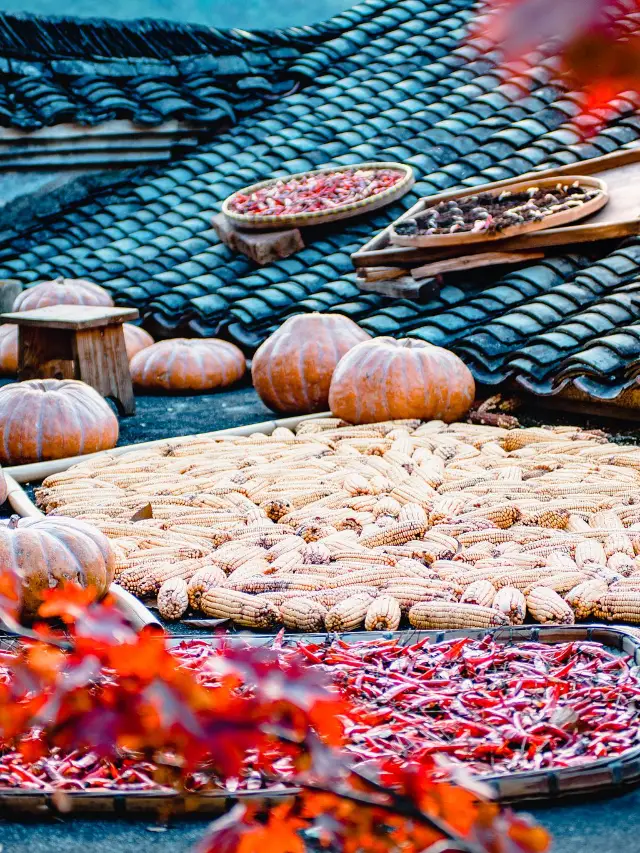 Tour du lịch Jiangxi Nanchang-Lushan-Jingdezhen 5 ngày siêu chi tiết hướng dẫn đầy đủ