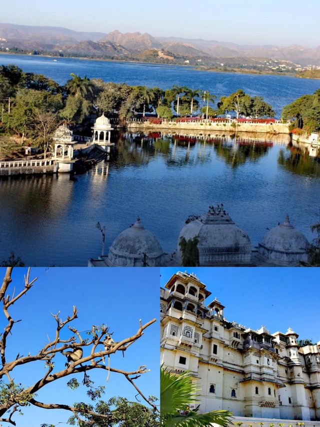 烏代浦爾，印度湖城嘅夢幻綺夢之旅