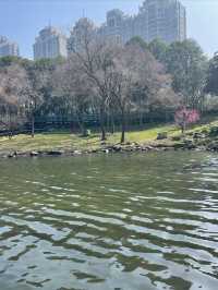 週末好去處｜徐家匯公園