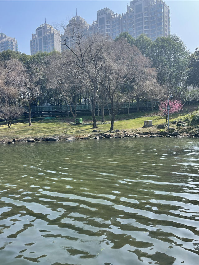 週末好去處｜徐家匯公園
