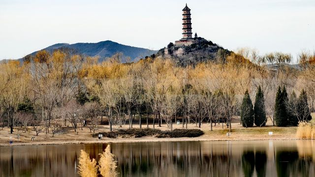 3月初的北塢公園，準備迎春了！