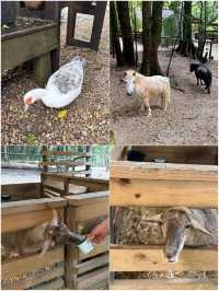 在黃金海岸水果園咬下整個南半球的甜蜜