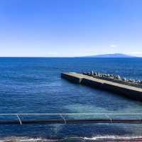 熱海·稻取 ｜ 伊豆觀海列車，邂逅絕美海景🌊