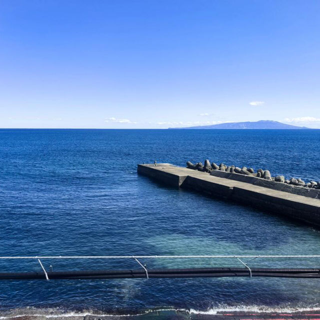 熱海·稻取 ｜ 伊豆觀海列車，邂逅絕美海景🌊