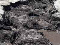 Nature Like You’ve Never Seen It Before, Like Another Planet