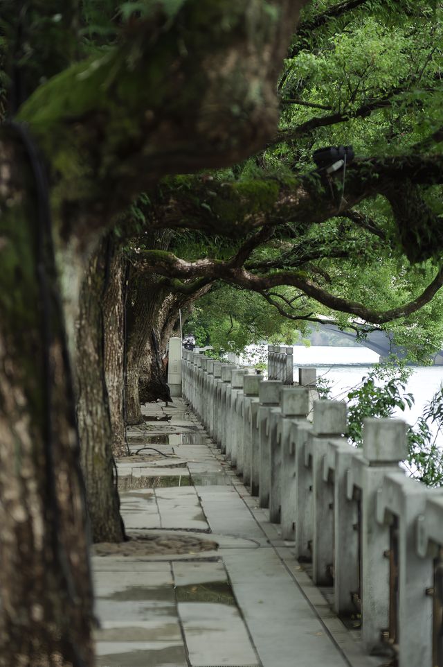 在回桂林，拍到了迄今為止我最喜歡的一條路