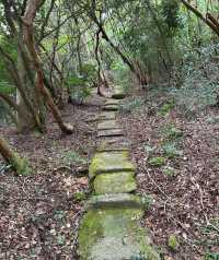漫步雲仙市天草國立公園｜邂逅一場山海間嘅夢幻之旅