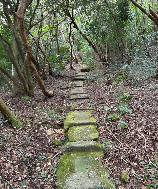漫步雲仙市天草國立公園｜邂逅一場山海間嘅夢幻之旅