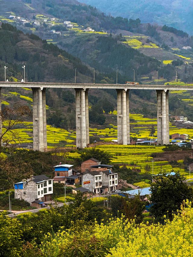 宜賓2日探秘森林之旅｜超詳細攻略