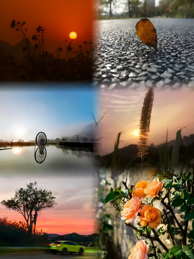 My Shenzhen hotel stay was amazing! Here's my honest review.