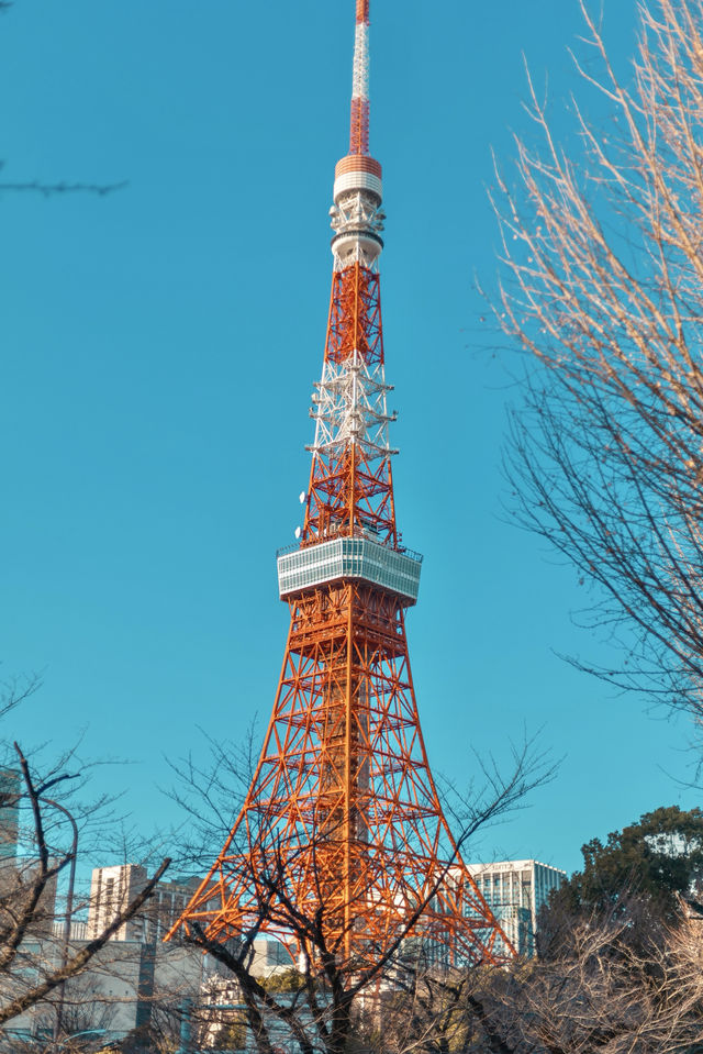 超靚嘅東京鐵塔打卡位推介