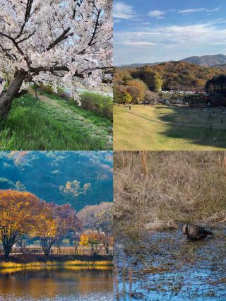 Cheongju, South Korea Travel Guide!