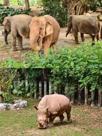 【深圳野生動物園超全攻略｜emoji預警｜必收藏】