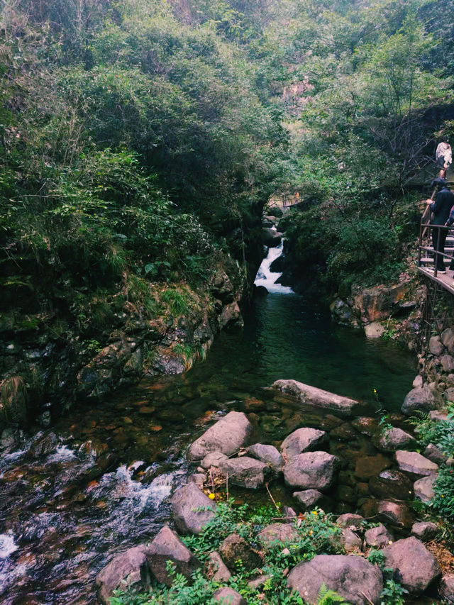 大奇山 | 杭州周邊週末，一場治癒身心的徒步吸氧之旅